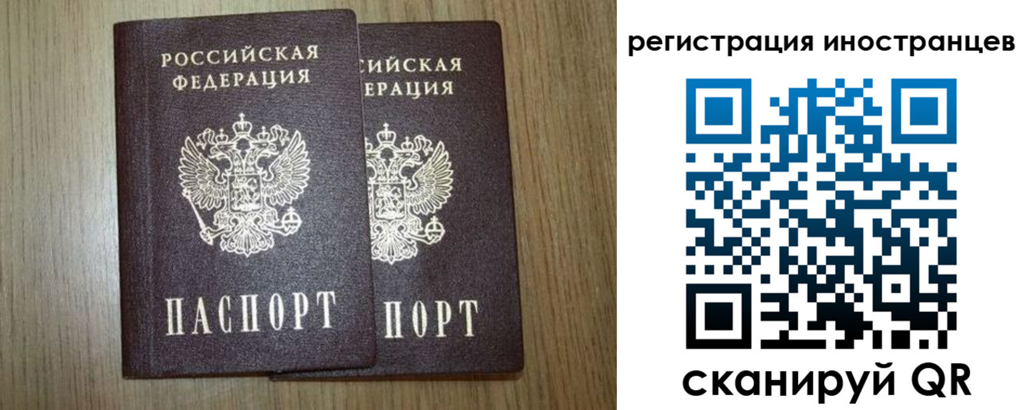 прописка для школы в Мурманской области